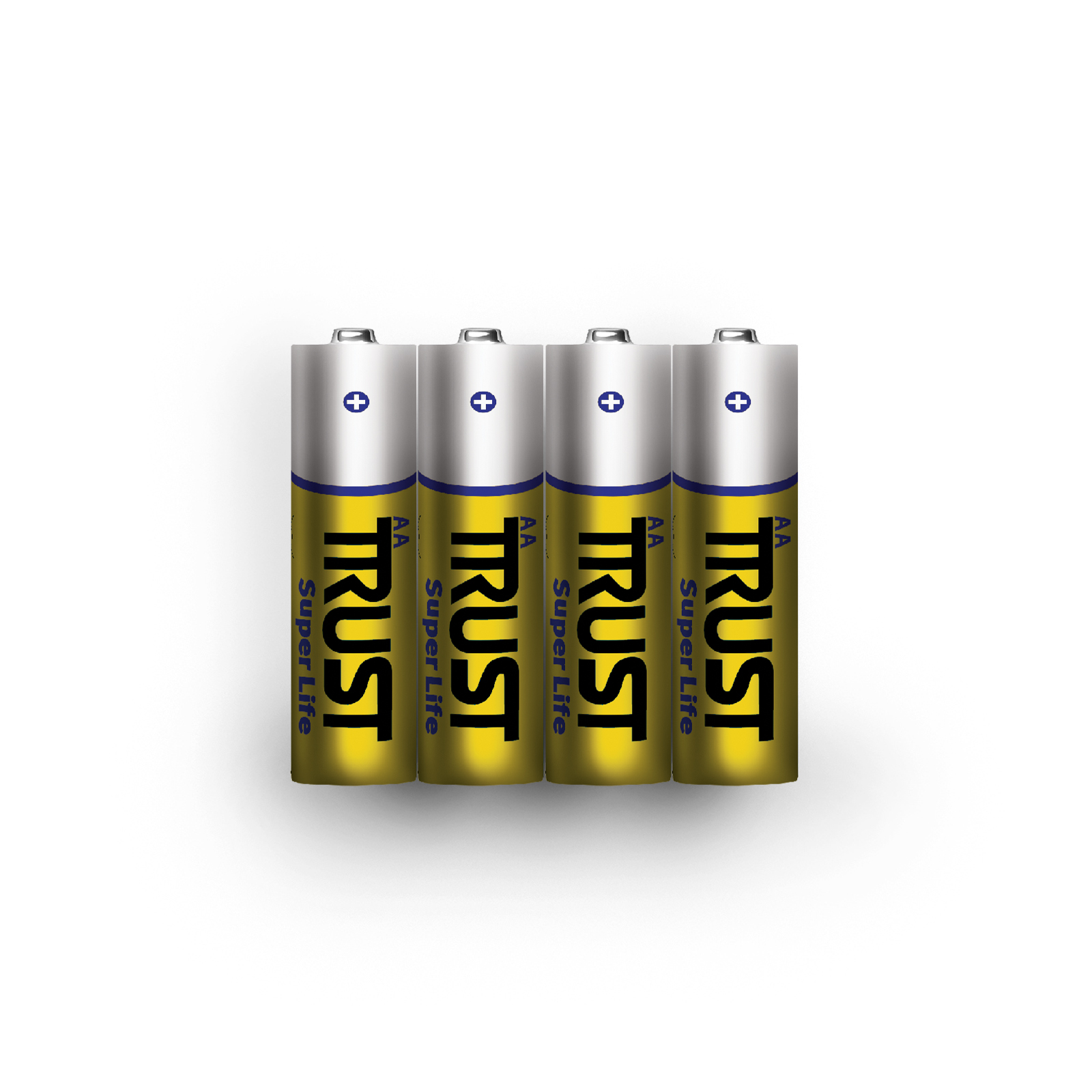 Super Life R6P AA (Shrink)